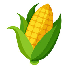 Wall Mural - corn vector, illustration of corn isolated on white background