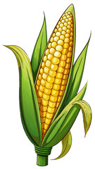 Wall Mural - corn vector, illustration of corn isolated on white background