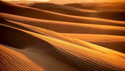 Wall Mural - Close up real photo of sand ripples at sunset, beach or desert background