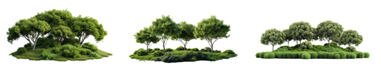 Wall Mural - group of trees with different shapes and sizes are clustered together and standing tall and close to