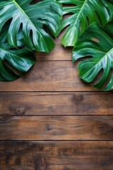 Lush monstera leaves arranged on a rustic wooden background