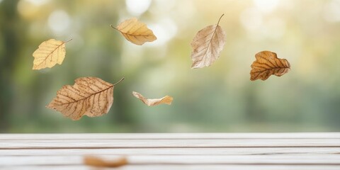 Canvas Print - Autumn leaves gently falling, creating a picturesque scene where the transition to winter begins.