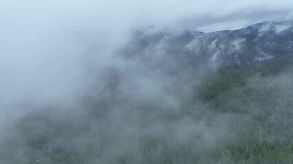 Wall Mural - Low clouds drift across the vast national forest surrounding Mount Hood, Oregon. The entire Pacific Northwest is known for its moist, temperate climate and beautiful, mountainous landscapes.