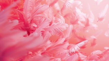 Wall Mural - Image of soft, fluffy pink feathers clustered together, evoking a sense of delicacy and elegance with a light and airy feel.