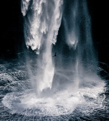 Wall Mural - bird against large waterfall in the Feroe islands