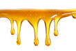 © RM Graphics - Honey dripping liquid syrup isolated on transparent background