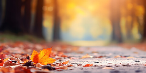 Wall Mural - Cozy autumn park with golden leaves falling from trees,  warm sunlight filtering through branches