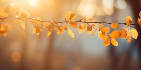 Wall Mural - Autumn leaves hanging delicately from branches, with a blurred background, free copy space for text