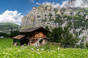 Stunning mountain landscape of Lauterbrunnen valley, Switzerland. Hiking trail from Murren to Gimmelwald village, view of an old chalet