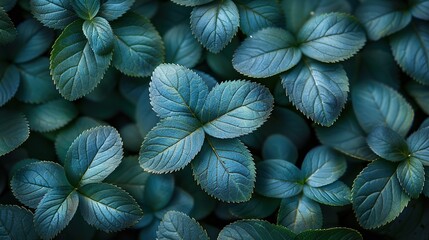 Wall Mural - Vibrant Green Leaves Close-Up