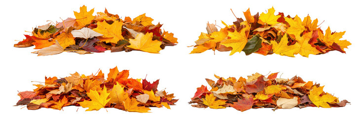 Four Piles of autumn colored leaves isolated on transparent background PNG