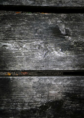 Poster - Wooden plank as nature background.