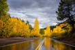© leieng - A road trip to New Mexico and Colorado, we saw this beautiful reflection on a scenic byway. Aspen trees are turning into yellow color.
