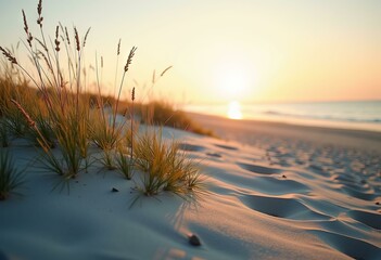 Wall Mural - Sunset Beach Scene with Golden Dunes, Tall Grasses, and Calm Sea