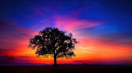 Wall Mural - Silhouetted Tree at Sunset