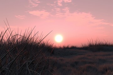 Canvas Print - Sunset over a grassy field