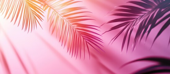 3d rendering of blurred palm leaf shadows on a light pink wall creating a minimal abstract backgroun