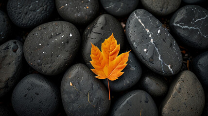 Stones plants