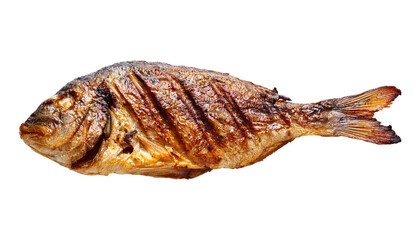 grilled fish on white background