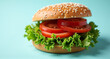© Snap Stock Gallery - hamburger on a white background
