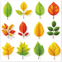 Colorful Autumn Leaves Set in Green, Yellow, Red, and Orange, Illustrated to Reflect Fall Foliage and Nature�s Beauty