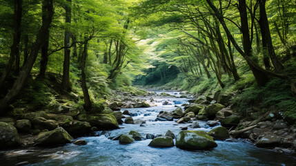 Wall Mural - Serene Forest River: Tranquil Nature Scene