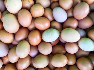 Chicken eggs. shot with high angle view