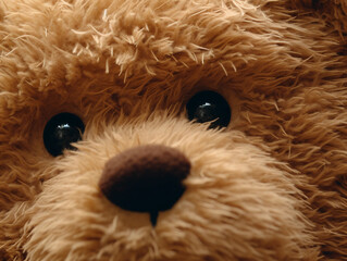 Wall Mural - Close up of a brown teddy bear with black eyes