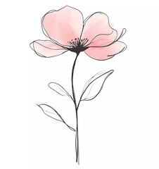 Wall Mural - A pink flower drawn with black lines on a white background, vector illustration