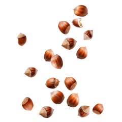 Falling of Hazelnuts isolate on transparency background