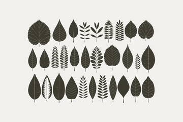 set of nature-themed vector illustrations focusing on various types of leaves on a white background
