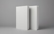 © Wannaeka - Two white books with glossy finish on grey background, in modern