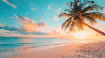 Wall Mural - Beautiful sunset tropical beach with palm tree and blue sky for travel and vacation in holiday relax time