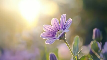 Wall Mural - Vibrant Purple Flower Blooming in the Wild Generative AI