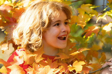 Child outdoor portrait in red and yellow leaves in an autumn park. Autumn and mood. Little child boy in autumn orange leaves, outdoor. Adorable toddler boy portrait on beautiful autumn day.