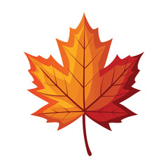 vector maple leaf