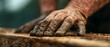 © Mikus - A tight shot of grubby hands atop a weathered wood plank, dotted with earthy debris
