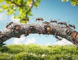 © SH Design - A group of ants are walking across a branch