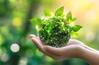© Keinara Aiko - Green Globe in Hands: Nature, Sustainability, and Technology