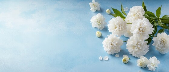 Wall Mural -  White carnations in a bouquet against a blue backdrop A green leafy twig on the left side