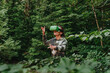© Westend61 - Woman with VR glasses watching trees and exploring in forest