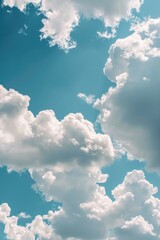 Wall Mural - A single plane flying high above a blanket of clouds in a bright blue sky