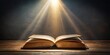 © Ole Studio - Open book illuminated by spotlight on dark background, education, learning, reading, literature, knowledge, studying