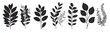 © Gelpi - Silhouette botanical illustrations of various plants and leaves in black on a white background Generative AI