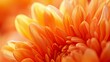 © kinara art design - A close-up of vibrant orange flowers, showcasing their delicate petals and textures.