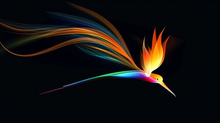 Wall Mural - a colourful bird with long tail feathers flies on a dark background with bright shades of yellow, or