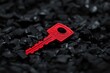 © Mikki Orso - Red key symbolizing ideas and solutions on black infinite keys representing risk management