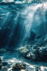 Wall Mural - Underwater scene of a coral reef with sunlight shining through the water, suitable for use in environmental or educational content