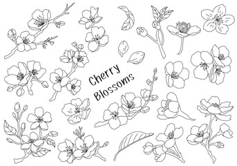 Set of cherry blossom black and white line elements vector illustration