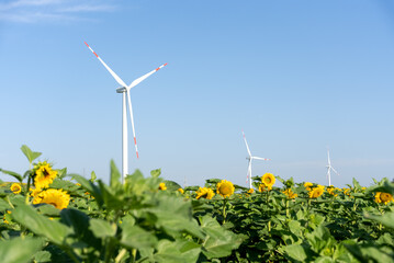 wind power turbines in agriculture field